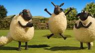 Oblíbená dětská pohádka: Ovečka Shaun odhalí skryté dovednosti